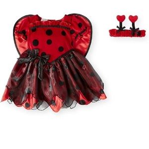 Koala Kids Ladybug with Wings & Headband 3M